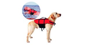 Un chaleco salvavidas es fundamental si vas al agua con tu perro (Amazon.com)