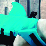 Un clásico que hará que tu mascota imponga (Amazon.com)