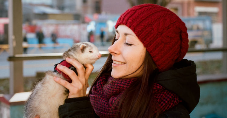 Intenta educarle desde pequeño como cualquier otra mascota (Foto: iStock)