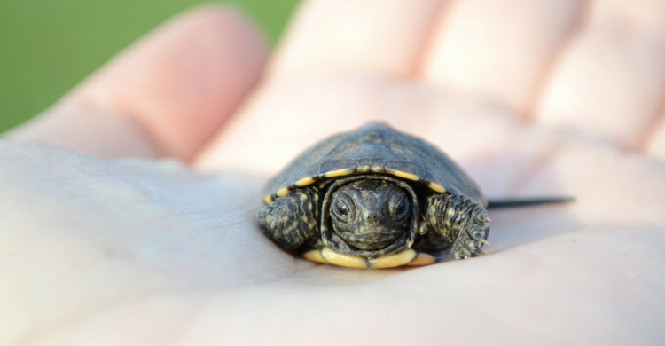 A veces tienen que pasar varios años para encontrar las diferencias (Istock)