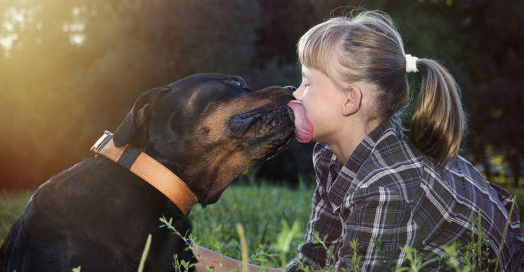 El perro cuidó del bebé recién nacido toda la noche (Istock)