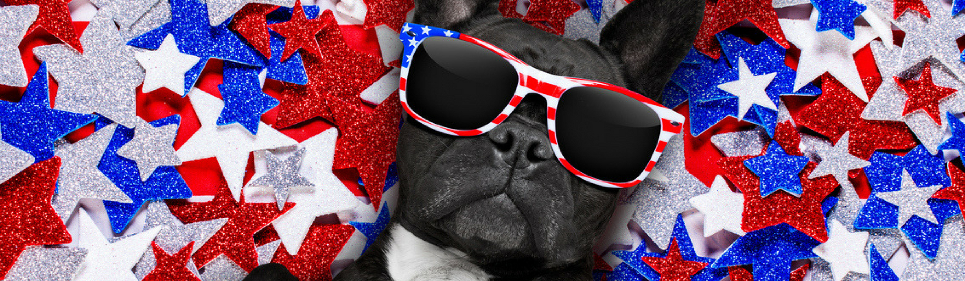 11 famosos que no pueden separarse de sus mascotas (Istock)