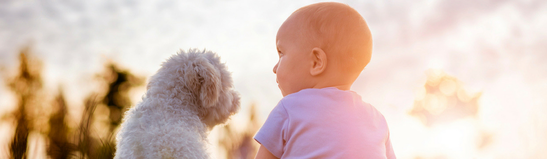 12 vídeos y fotos de bebés con mascotas que te harán morir de amor (Istock)