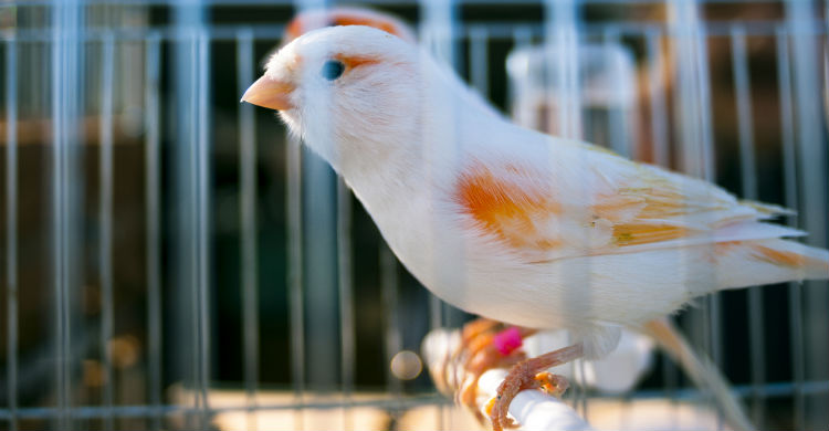 El ambiente que generes influirá mucho en su actitud (Foto: iStock)