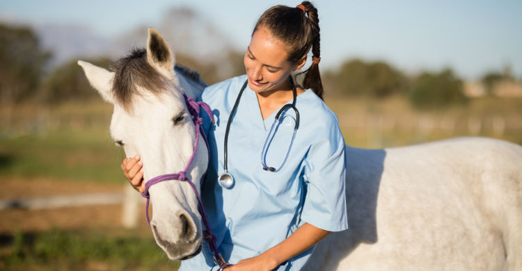 Aprovecha a comprar cuando hay descuentos y opta por los productos de segunda mano para ahorrar (Foto: iStock)