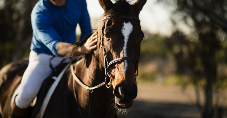 La rutina de limpieza debe ser muy estricta (Foto: iStock)