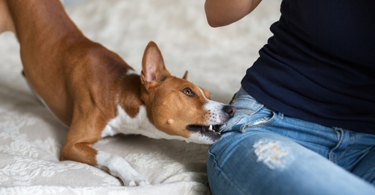 No lo interpretes siempre como un juego (Istock)