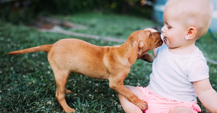 El animal debe entender que le sigues queriendo (Istock)