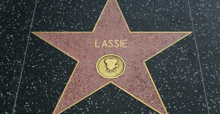 Lassie, un clásico (Istock)