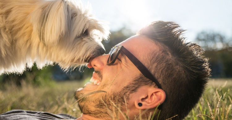El amor de las mascotas por sus dueños supera todas las fronteras (Istock)
