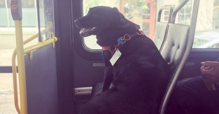 Eclipse durante uno de sus viajes (Reddit)