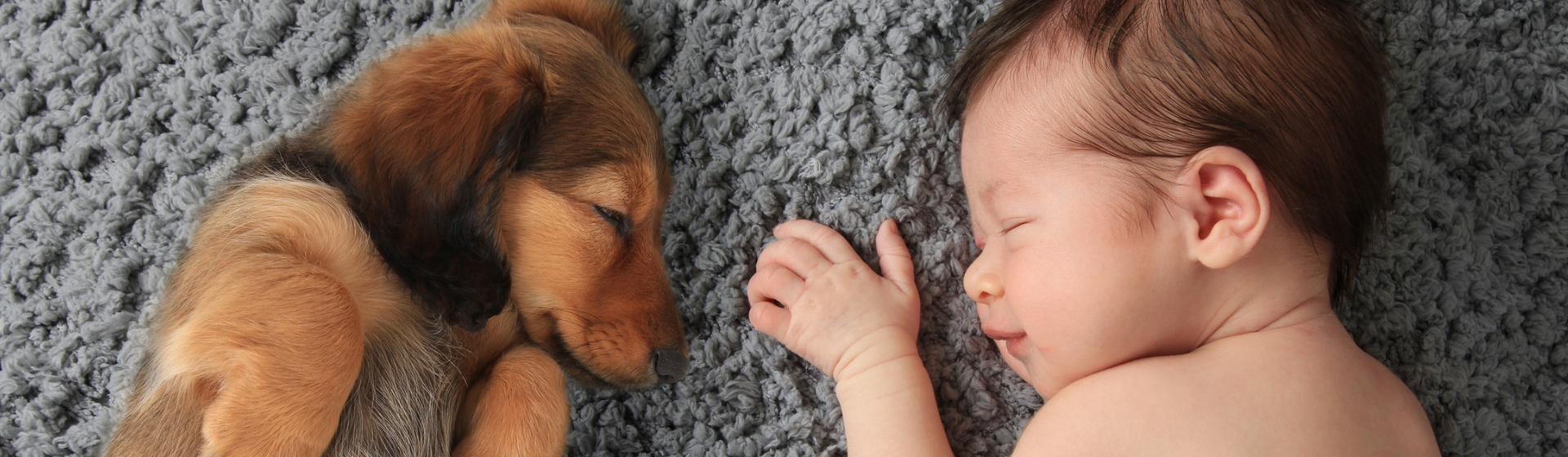 5 consejos para que tu perro no tenga celos de tu bebé (Istock)