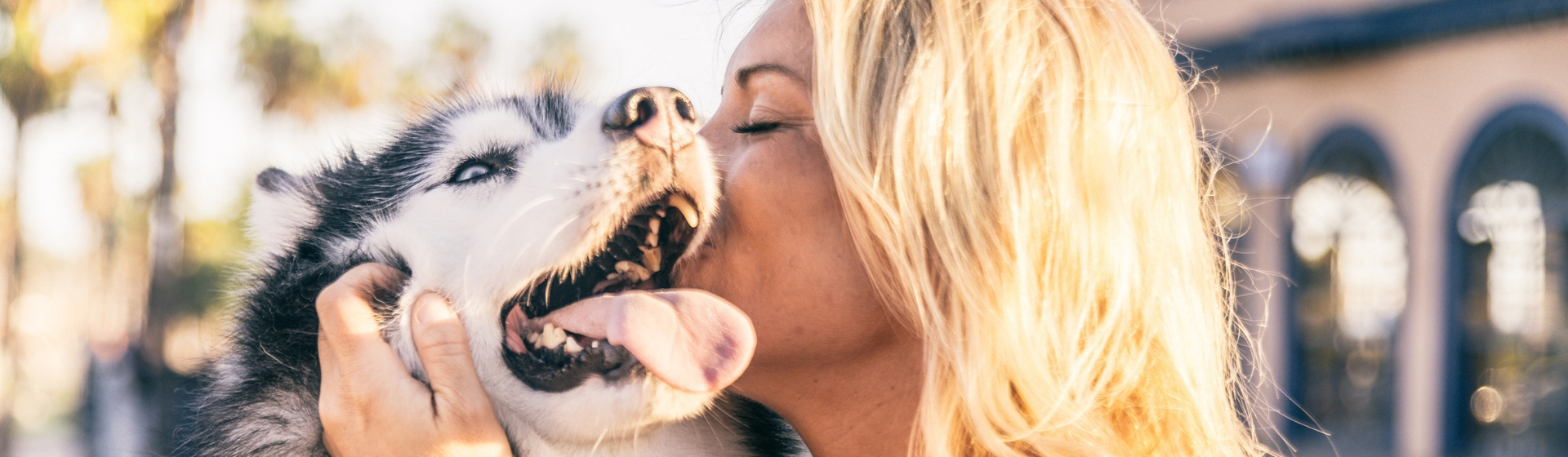 Los 7 reencuentros más bonitos entre mascotas y sus dueños (Istock)