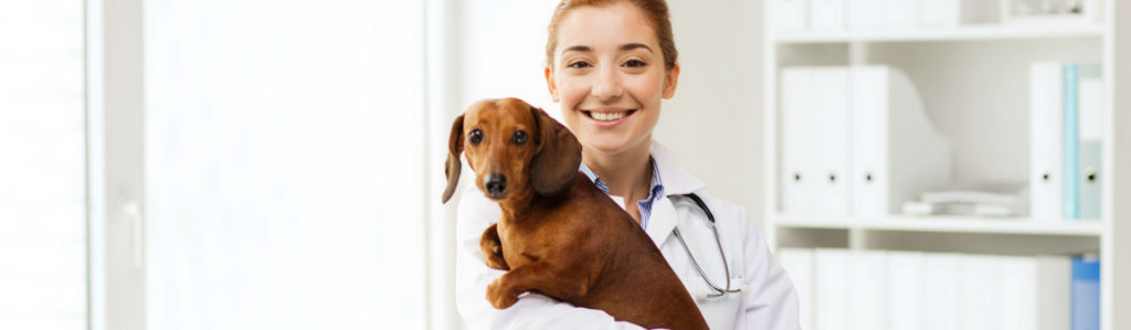 La zoopsiquiatría estudia el comportamiento de los animales (Foto: iStock)