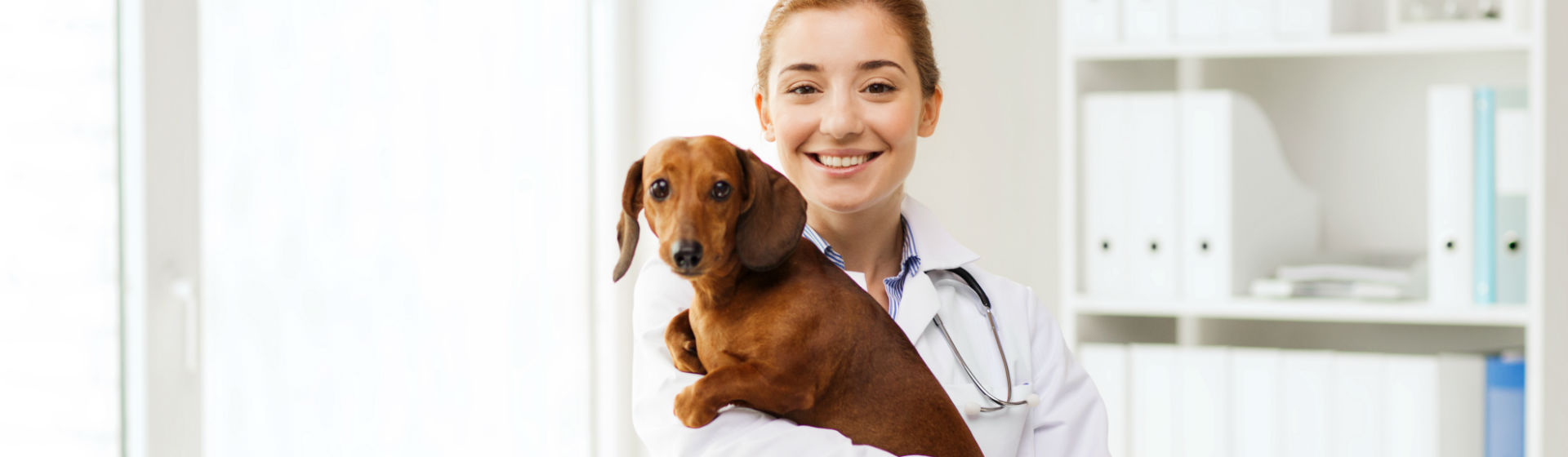 La zoopsiquiatría estudia el comportamiento de los animales (Foto: iStock)