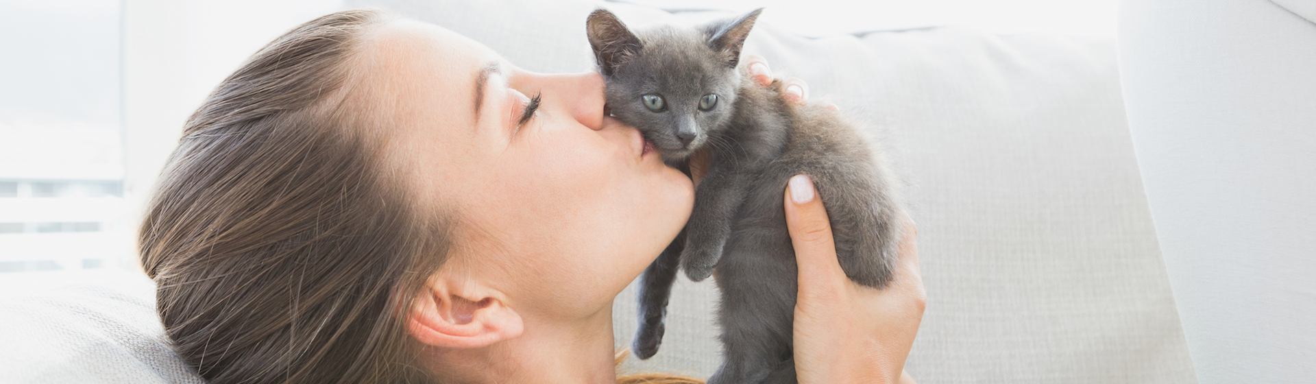 Cómo saber si mi gato me quiere