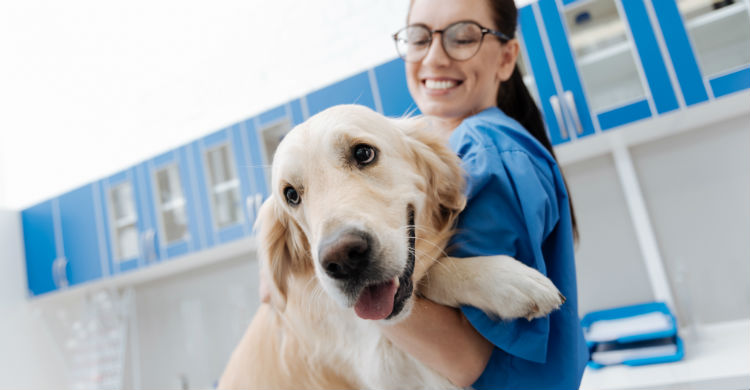 Los detalles socio-culturales de las familias adoptivas de los animales estudiados son importantes (Foto: iStock)