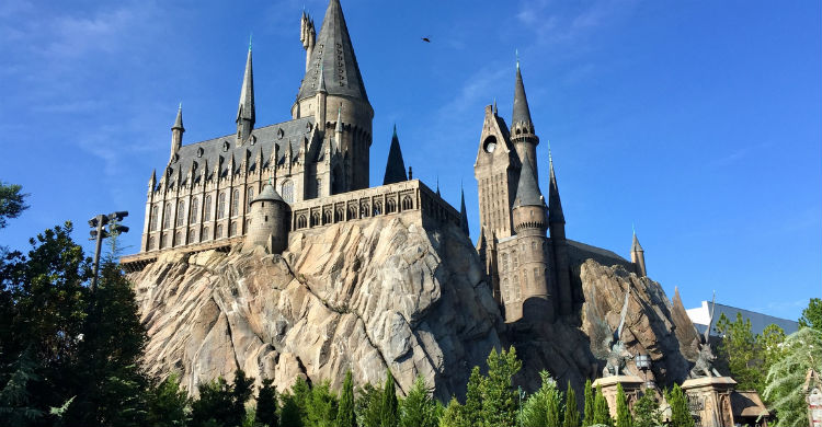 Las mascotas tienen un gran peso en la historia de Harry Potter (Foto: iStock)