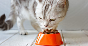 3. La cuchara y el tenedor de los gatos (iStock)