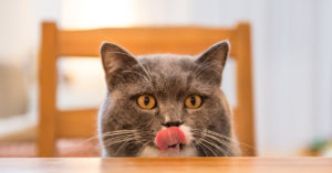 5. Lengua áspera multitarea (iStock)