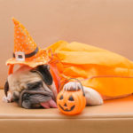 Calabaza (Istock)