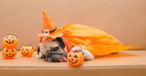 Calabaza (Istock)
