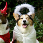 El bien y el mal (Istock)