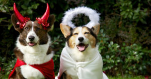 El bien y el mal (Istock)