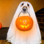 Fantasma (Istock)