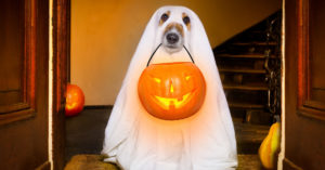 Fantasma (Istock)