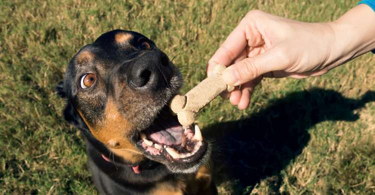 No hay que abusar (Istock)