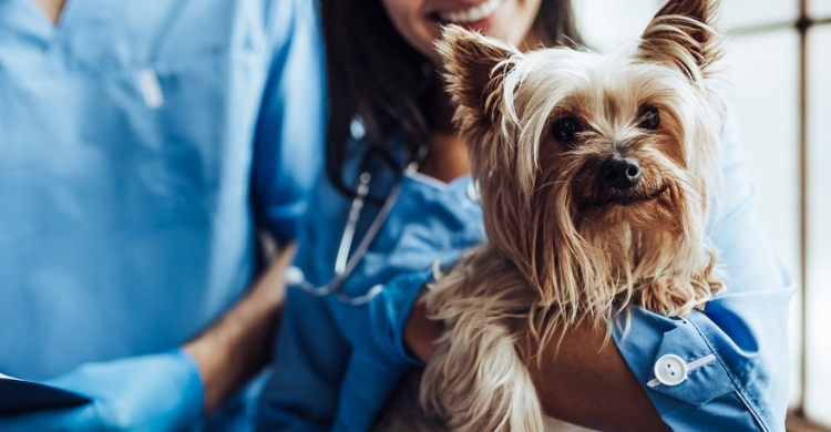 El cuidado sanitario, otro de los factores a tener en cuenta (Istock)
