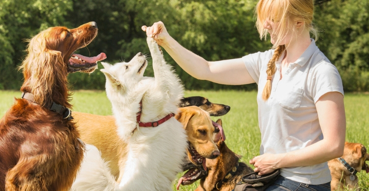 El refuerzo positivo es fundamental (Istock)