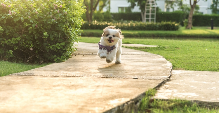No dejes que el pánico anule tu sentido común (Istock)
