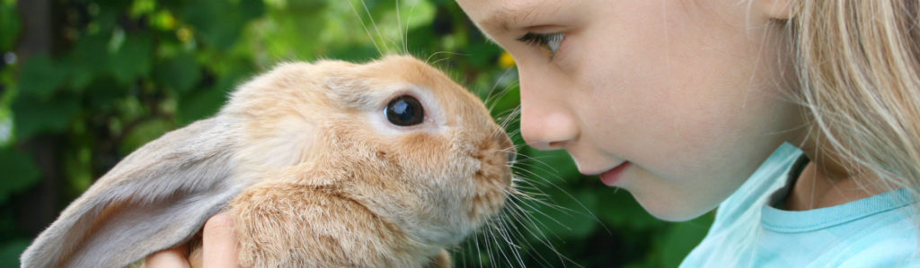 Los niños y las mascotas tienen muy buena relación (Foto: iStock)