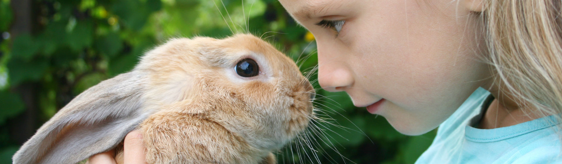 Los niños y las mascotas tienen muy buena relación (Foto: iStock)