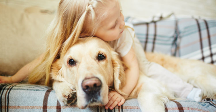 Los animales favorecen el desarrollo cognitivo del niño (Foto: iStock)