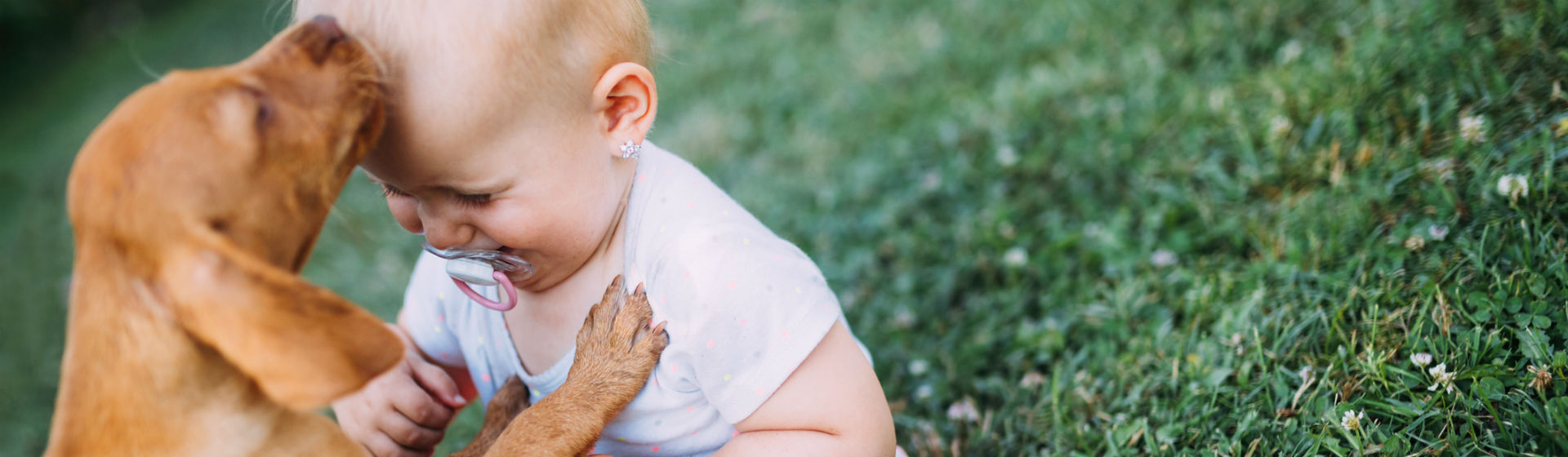 Los bebés y las mascotas pueden hacer muy buenas migas (Foto: iStock)