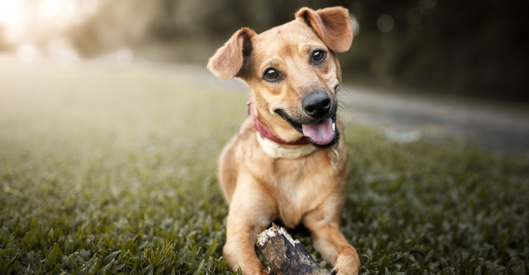 Se moverá con dificultad (Istock)