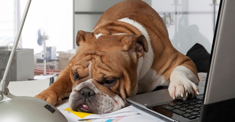 Se encontrará más cansado de lo habitual (Istock)