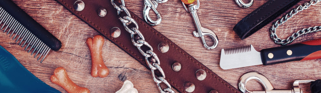 Pros y contras de utilizar collares de adiestramiento (Istock)