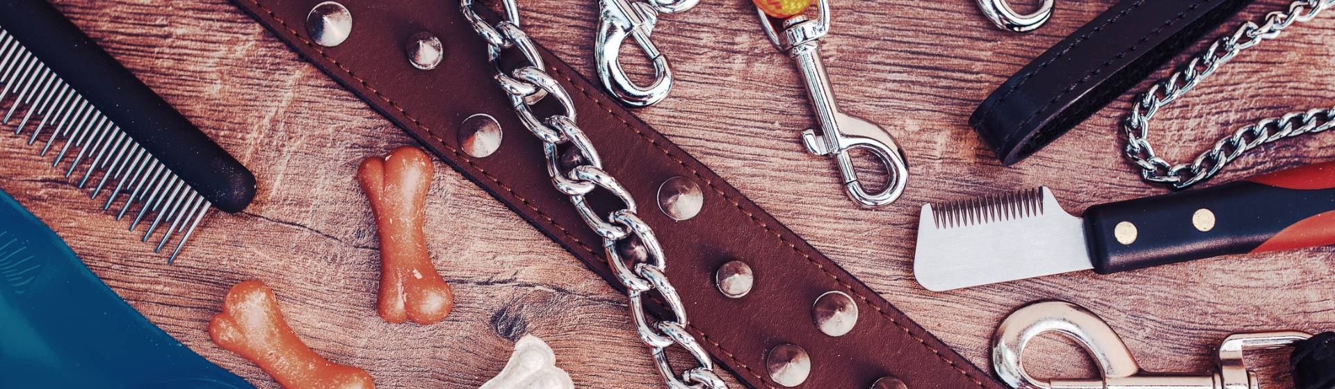 Pros y contras de utilizar collares de adiestramiento (Istock)