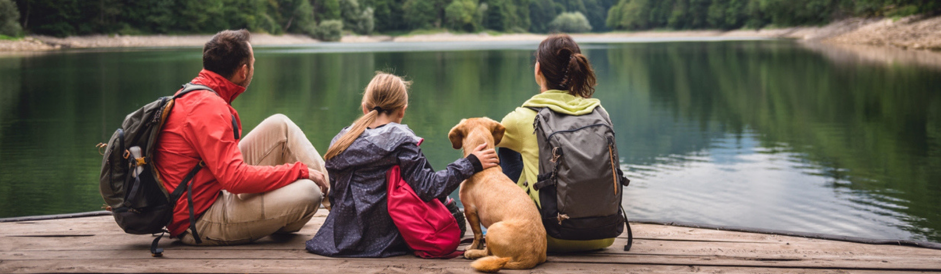 Las 7 mejores razas de perro para los amantes de la aventura (Istock)