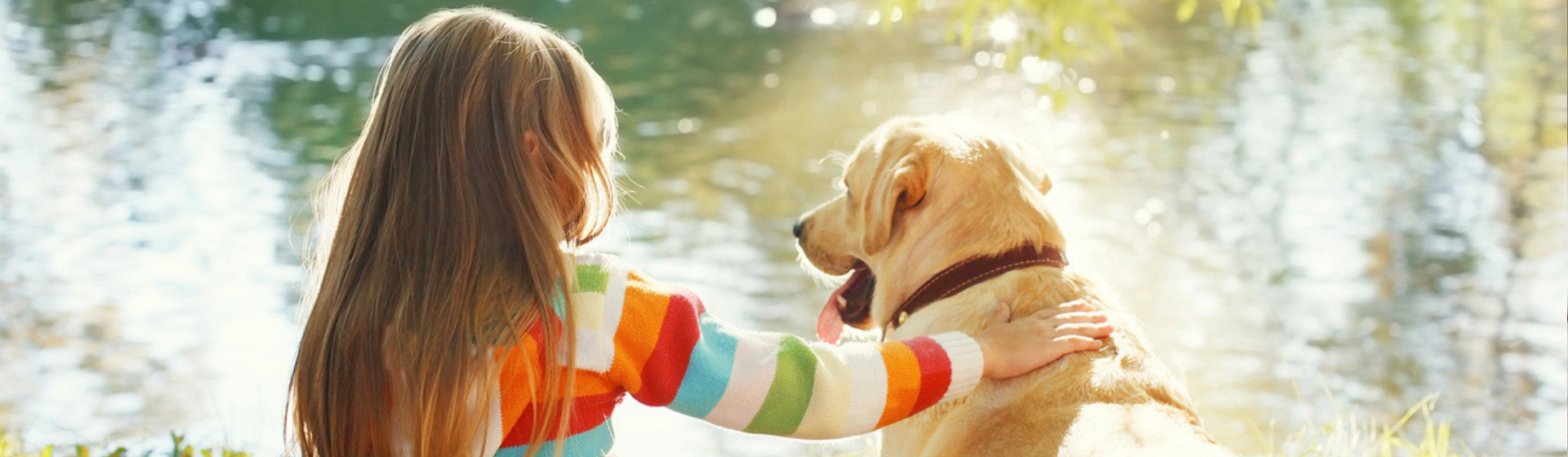 Las 8 razas de perro más dóciles (Istock)