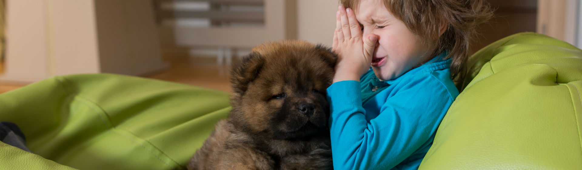 Es posible desarrollar alergias que antes no tenías si convives con un animal (Foto: iStock)