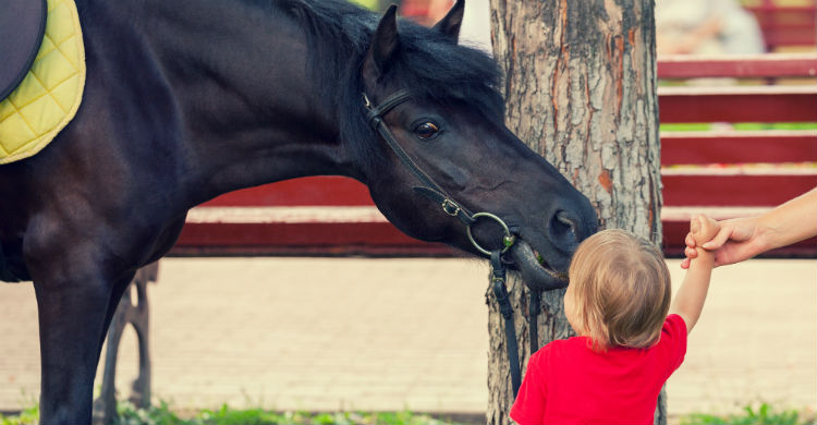 Rehabilitar y habilitar procesos físicos son objetivos de la equinoterapia (Foto: iStock)