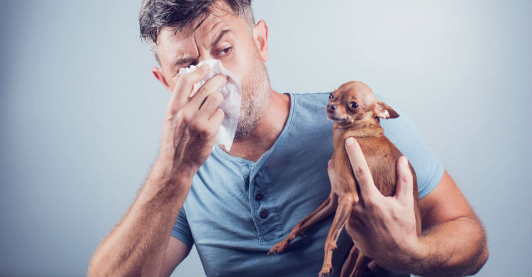 Las alergias no se curan pero se pueden tratar con fármacos (Foto: iStock)