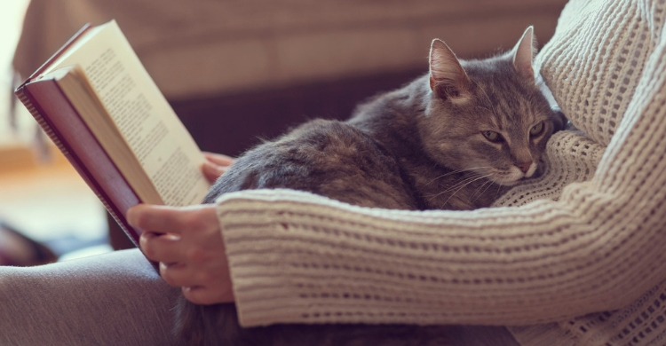 Si lees con tu mascota cerca, disfrutaréis de una experiencia que os unirá más todavía (Istock)