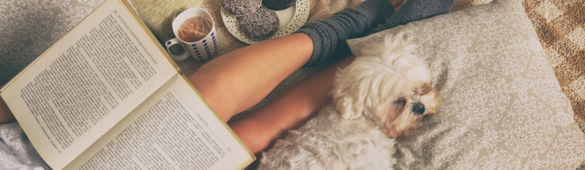 7 libros imprescindibles si eres un amante de los animales (Istock)