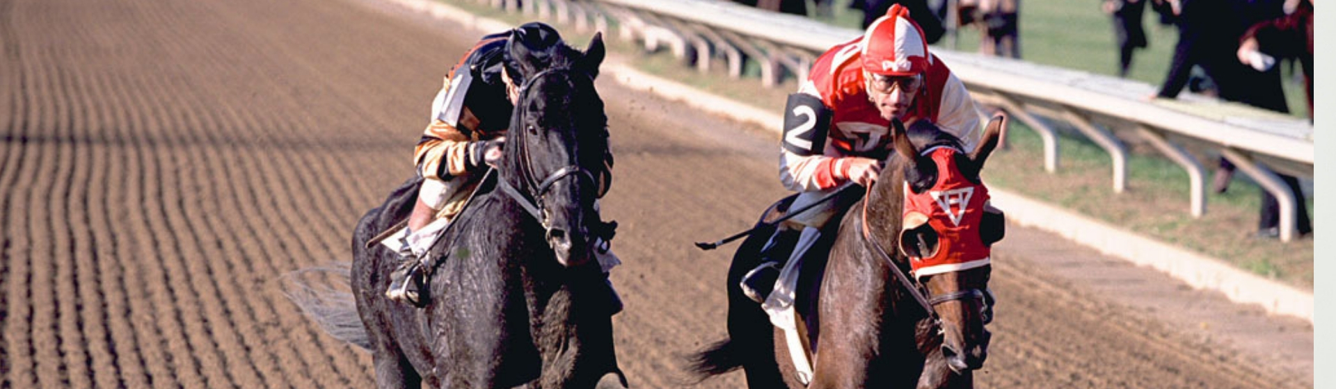 Los caballos más famosos de las películas (Youtube)